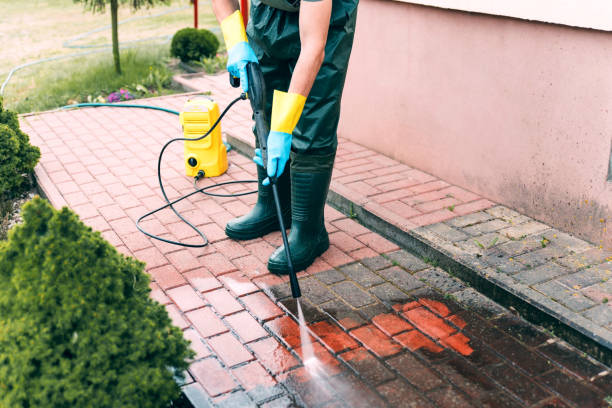 Best Gutter Cleaning  in Meadows Place, TX