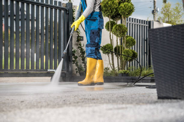 Best Sidewalk and Walkway Cleaning  in Meadows Place, TX